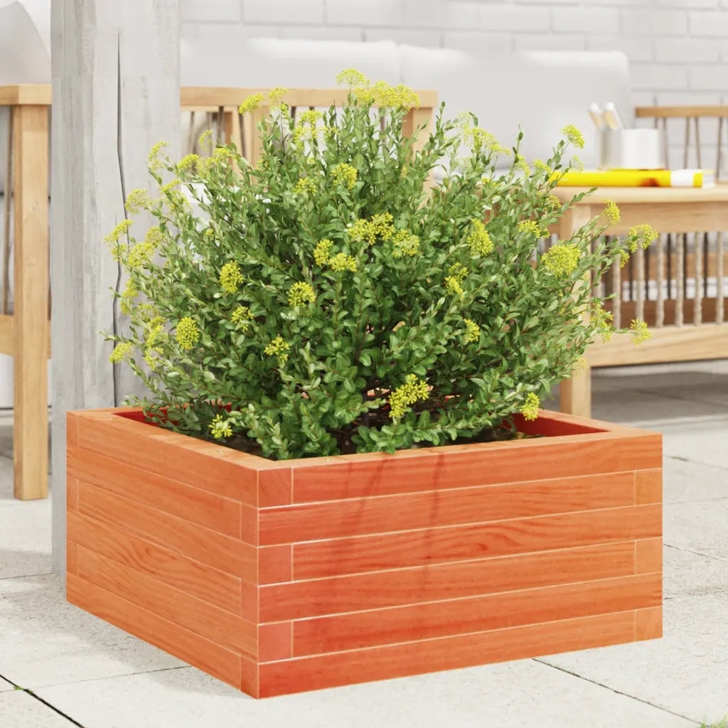 Fioriera Giardino Marrone Cera 60x60x23 cm Legno Massello Pino 847190
