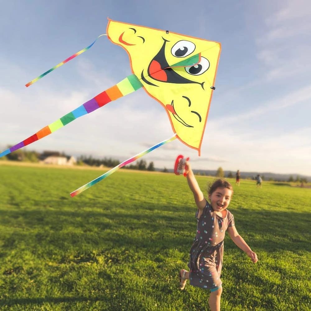 Trade Shop - Aquilone Sorriso Gioco Esterno Spiaggia Facile Da Pilotare Vari Colori 130x70 Cm -