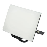 Proiettore LED 30W, 2400lm 6400K, IP65, alimentazione 220V-240V