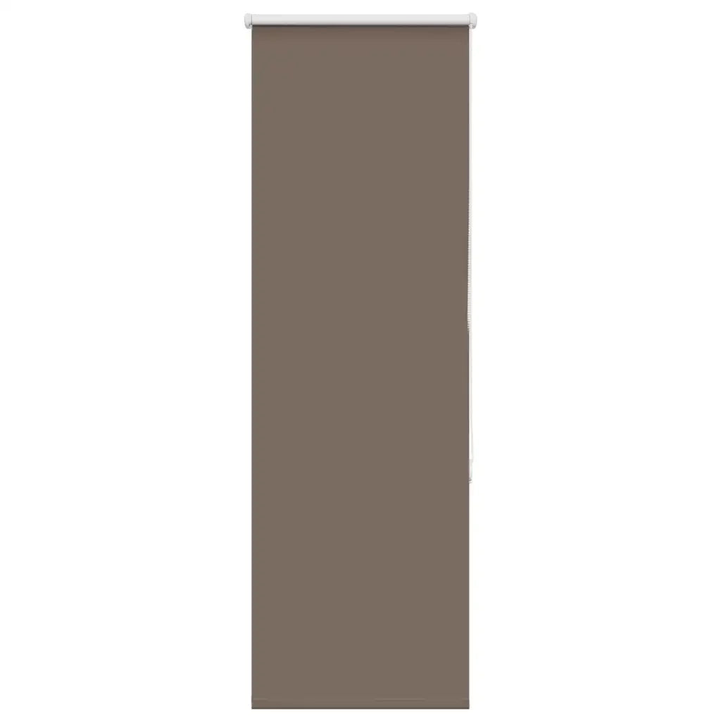 Tenda a Rullo Oscurante 60x175 cm Larghezza Tessuto 55,7 cm 4011016