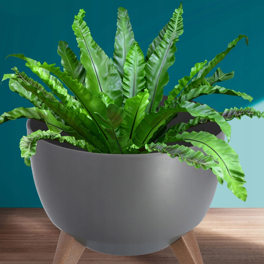 Vaso da fiori KADAX, fioriera, coperchio, gambe, inserto, supporto per fiori, 29 cm, antracite, ciotola, 2 pezzi.