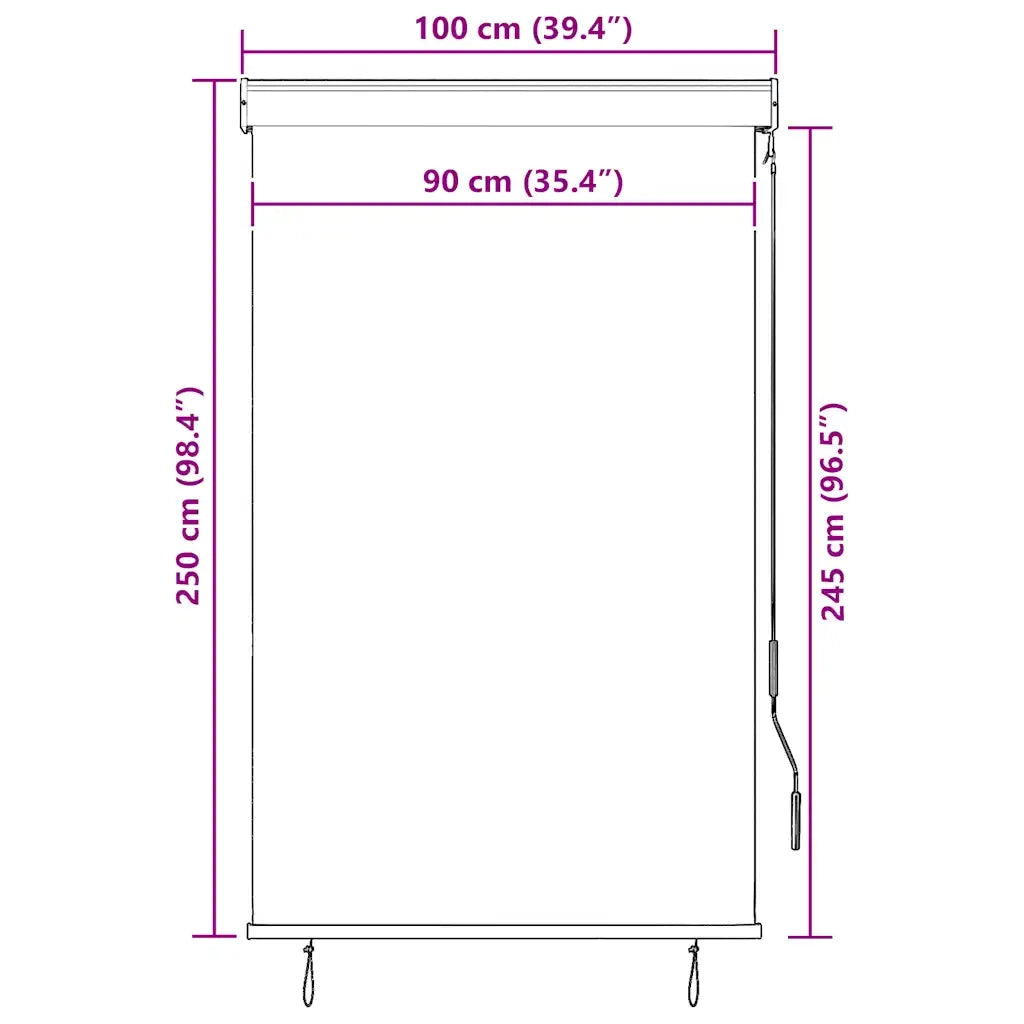 Tenda a Rullo per Esterni 100x250 cm Antracite 145958