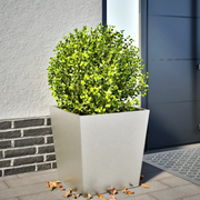 Fioriera da Giardino 50x50x50 cm in Acciaio Inox 851074