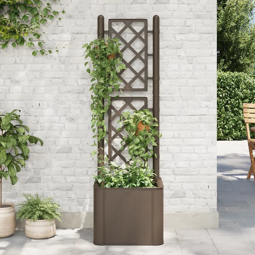 Letto Rialzato da Giardino con Graticcio e Irrigazione Moca 313964