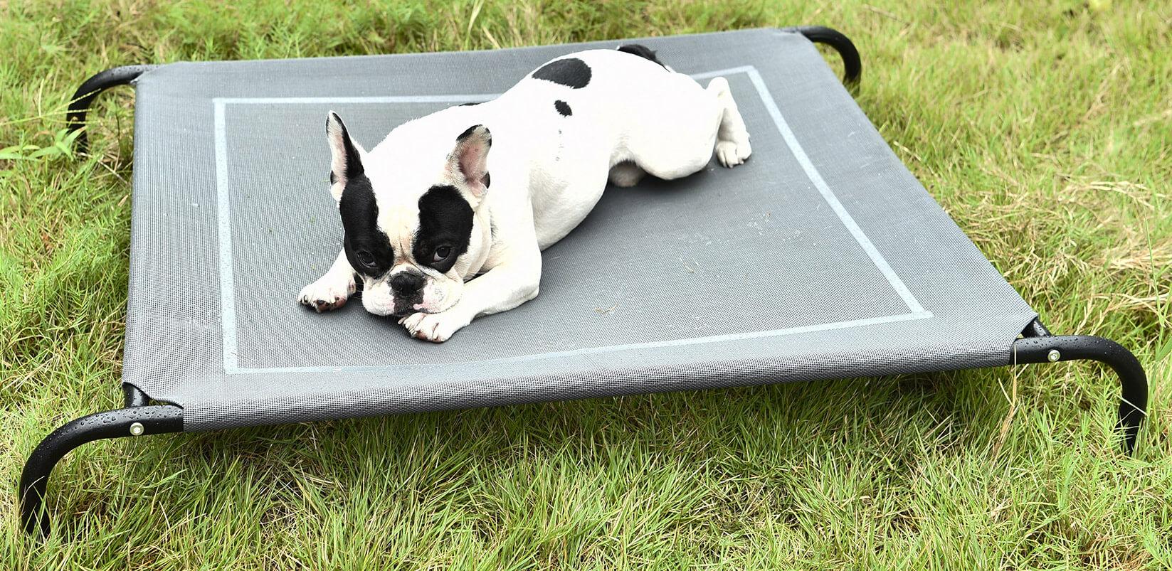 Brandina Maxi per Cani e Gatti in Tessuto Relax Grigia