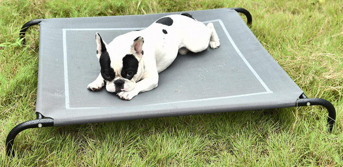 Brandina Maxi per Cani e Gatti in Tessuto Relax Grigia