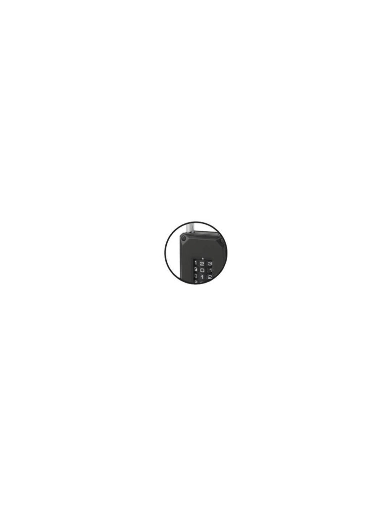 Lucchetto a combinazione Code-X, 4 cifre, interno, arco in acciaio, 45mm, nero - THIRARD