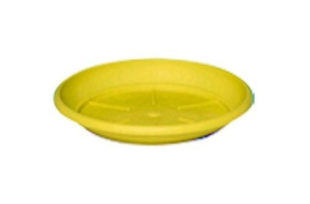 Piatto Per Vaso Similcotto Spazz Diametro 22 Giallo Set 5 Pezzi - Arca