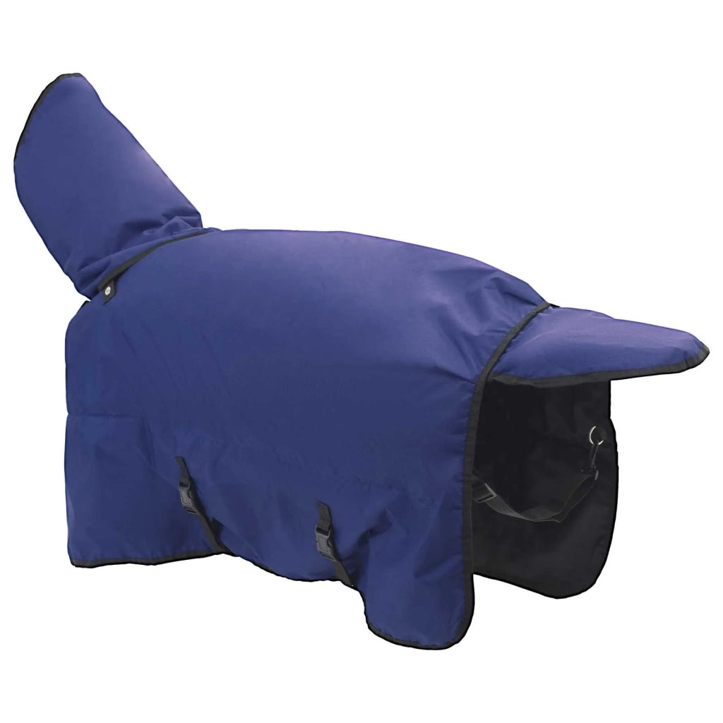 Coperta per Cavalli Verde Scuro e Nero 165 cm Poliestere CFW6151224