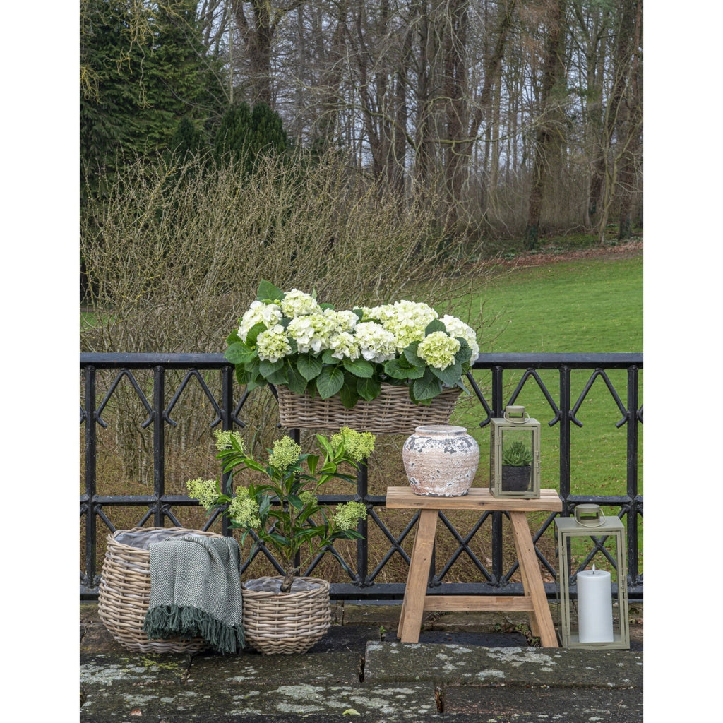 Set di 2 Cesti Portaoggetti Pulo, Marrone, Rattan, 27x27x21 cm