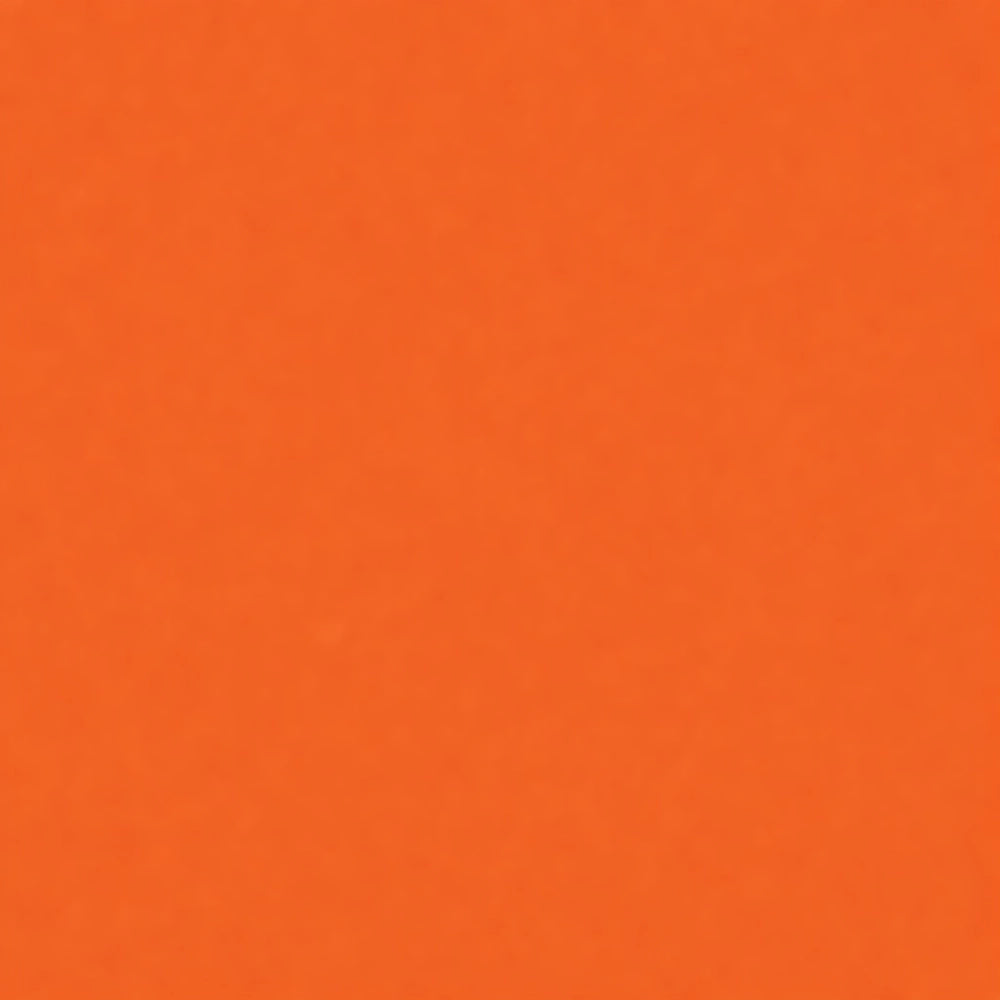 Smalto acrilico multiuso ral 2009 arancio traffico spray 400 ml