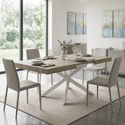 Tavolo da pranzo allungabile 160/240x90 - POTHOS