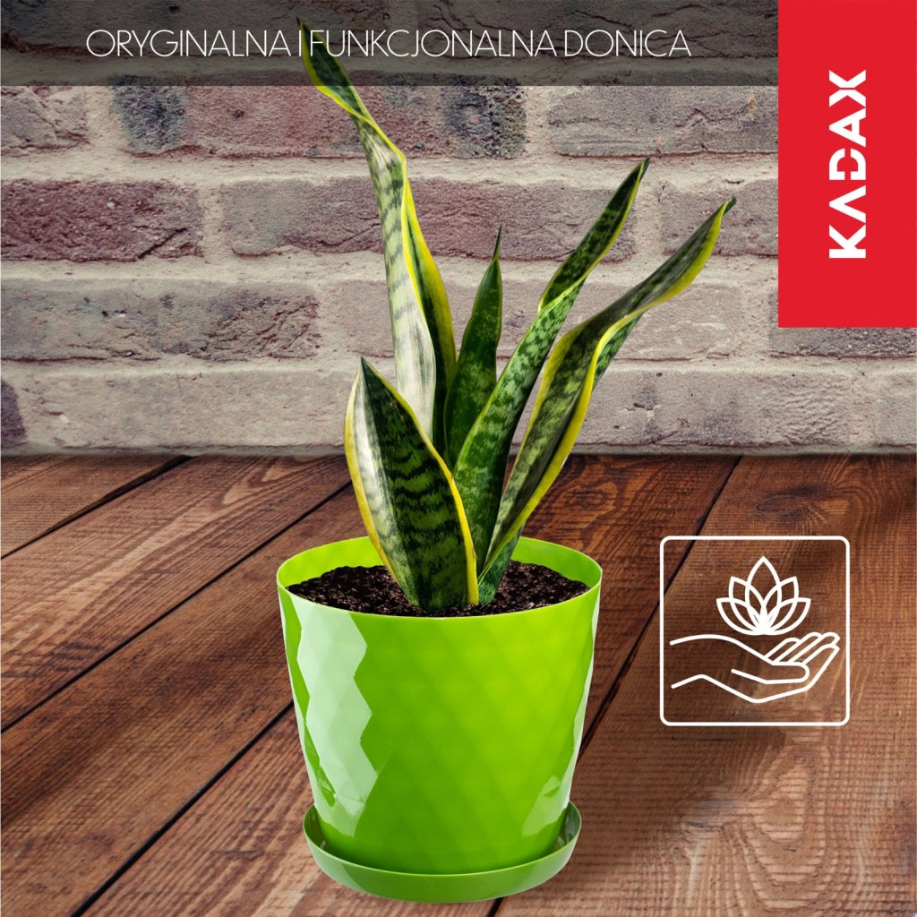Vaso da fiori KADAX, coprivaso, 30 cm, supporto per fiori, plastica verde, 3 pezzi.