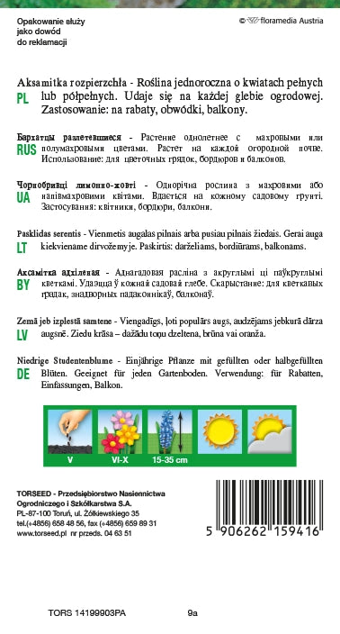 Tagetes che si allarga (basso) - Tagetes patula nana fl.pl. giallo 1 g