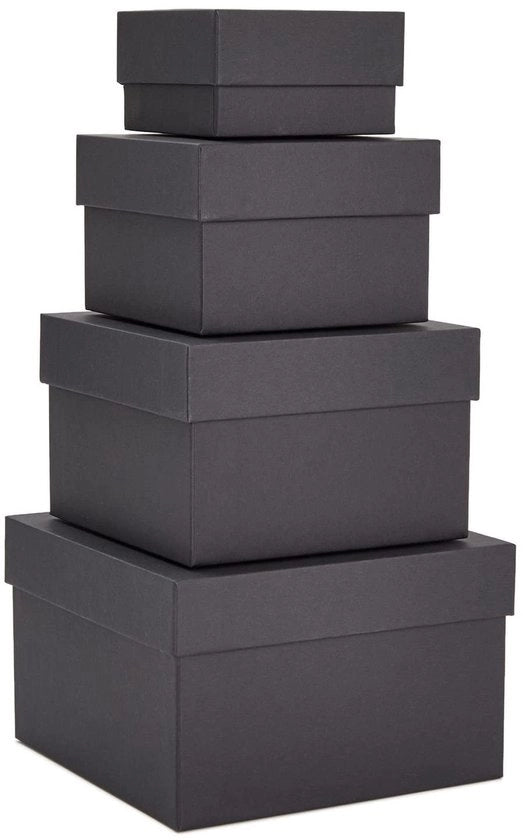 Set di 4 Nestdozen con Copri - Raccogliere Spazio - Diversi Format 3,5 x 2,0 a 16,5 x 10,2 cm - Scatole Decorative per Regali e Archiviazione