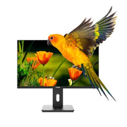 Nilox nxm24reg02 monitor pc 61 cm (24") 1920 x 1080 pixel full hd led nero - 8054320848851