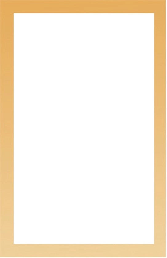 5 adesivi per display magnetici, cornice display magnetica in PVC, cornice per foto senza punte, adatta per certificati di sanita', decorazioni, foto, note, prescrizioni, istruzioni, formato A4, oro.