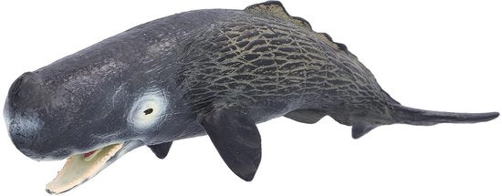 Modelli di animali marini portatili - Modello di balena - Giocattolo educativo - Abilità manuale - Alta qualità - Finissaggio eccellente