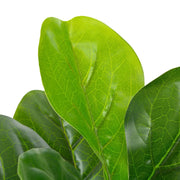 Pianta Artificiale di Ficus Lyrata con Vaso Verde 90 cm CFW3908486