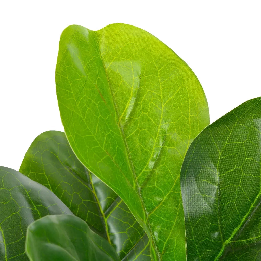 Pianta Artificiale di Ficus Lyrata con Vaso Verde 90 cm CFW3908486
