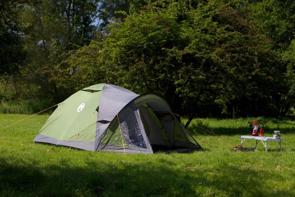 Coleman Darwin 4 Plus 4 persona(e) Verde Tenda a cupola/Igloo
