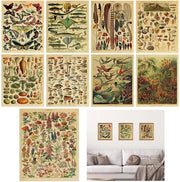 Decorazione Botanica 9 pezzi - Decorazione per Parete - Poster Educativo - Arte per la Camera da Letto - Decorazione per la Sala da Pranzo - Dimensioni 20 x 25 cm
