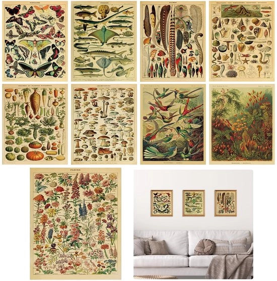 Decorazione Botanica 9 pezzi - Decorazione per Parete - Poster Educativo - Arte per la Camera da Letto - Decorazione per la Sala da Pranzo - Dimensioni 20 x 25 cm