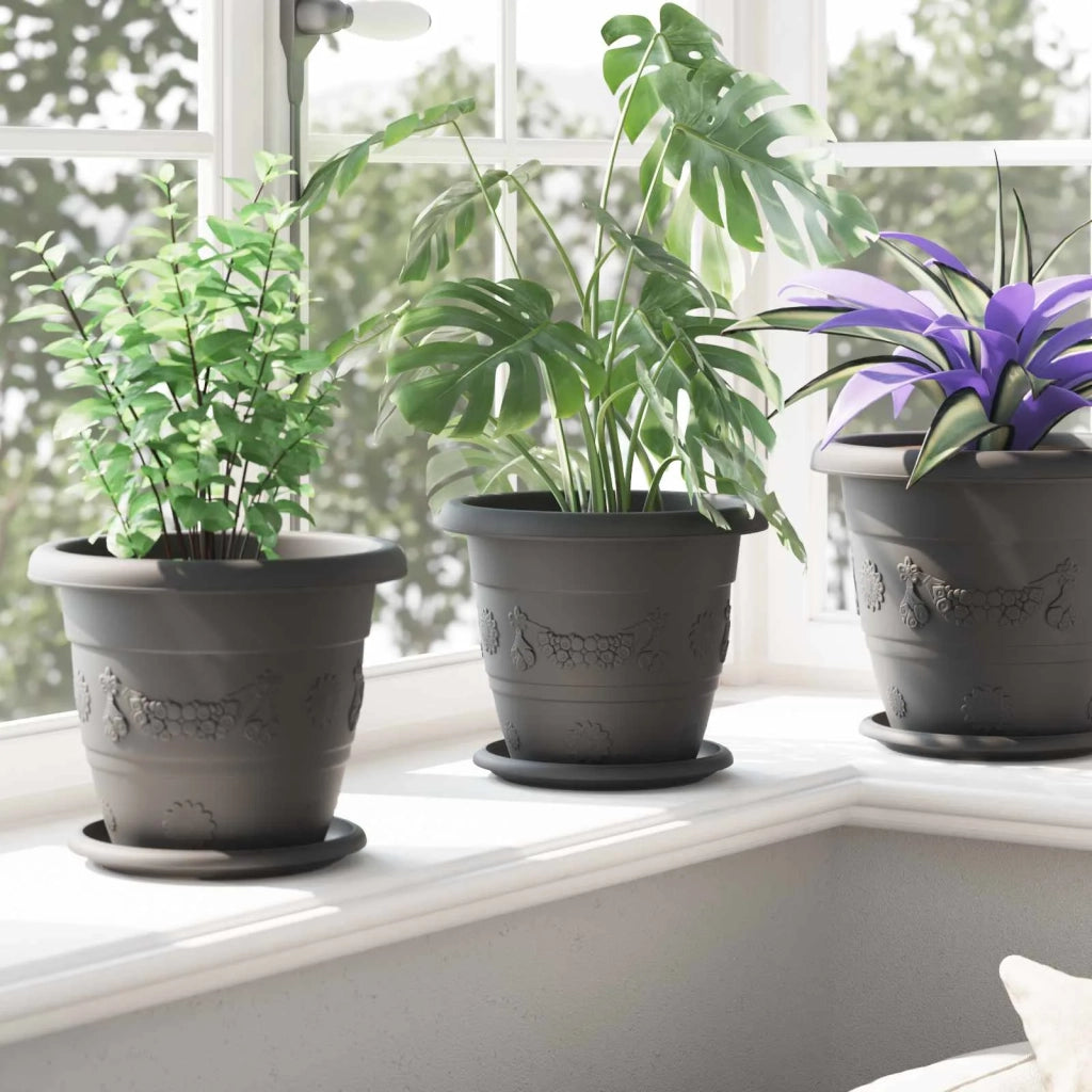 Fioriere | Cassetta per fiori | Vasi per Piante 6 pz Nero ? 22 x 18 cm Plastica
