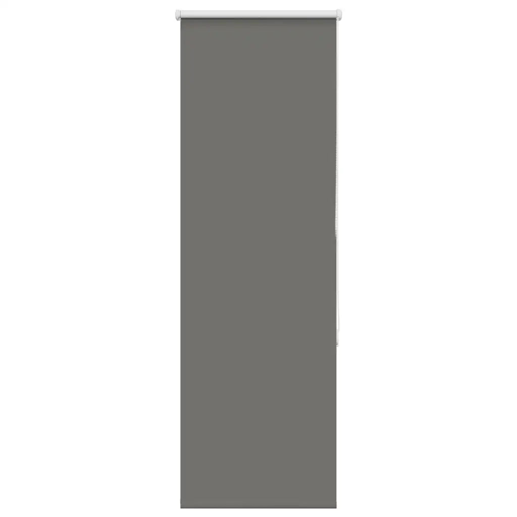 Tenda a Rullo Oscurante 45x175 cm Larghezza Tessuto 40,7 cm 4011143