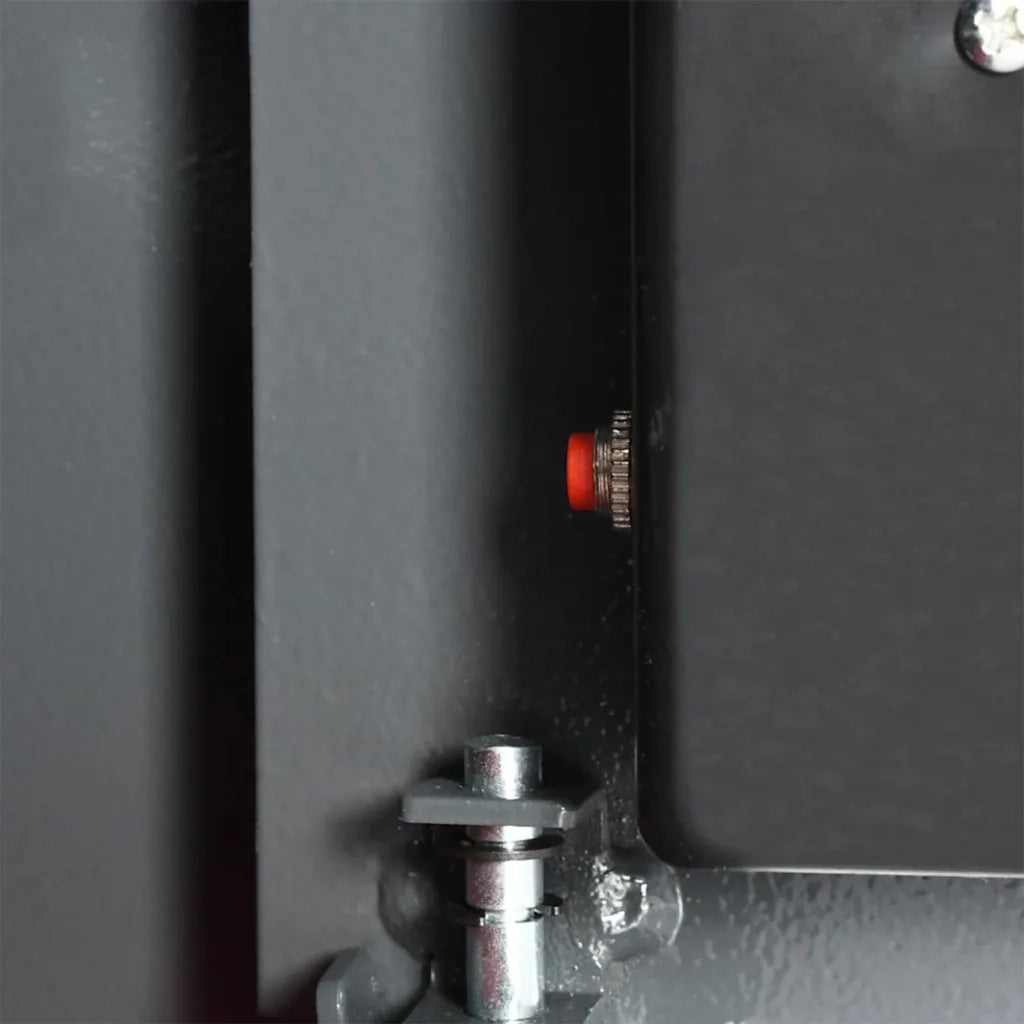Cassetta di sicurezza digitale Grigio scuro 35 x 25 x 25 cm CFW9193881
