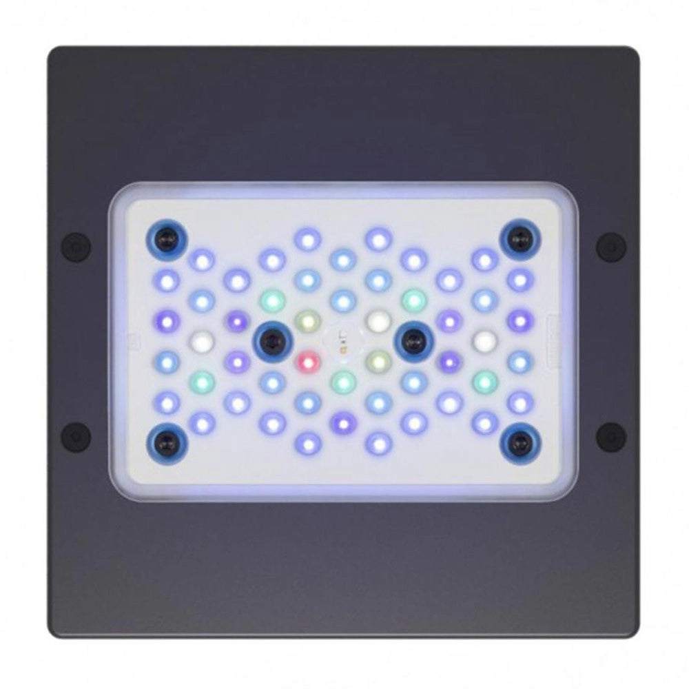 Ecotech Marine Radion XR15w G6 Blue