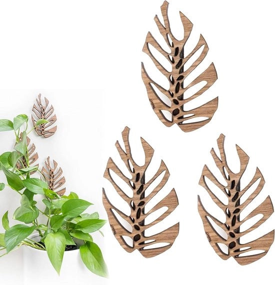 Set di 3 Viti in Legno per Piante di Muro, Viti Autoadesive per Piante di Vigna, Decorazioni e Vite per Piante di Interno