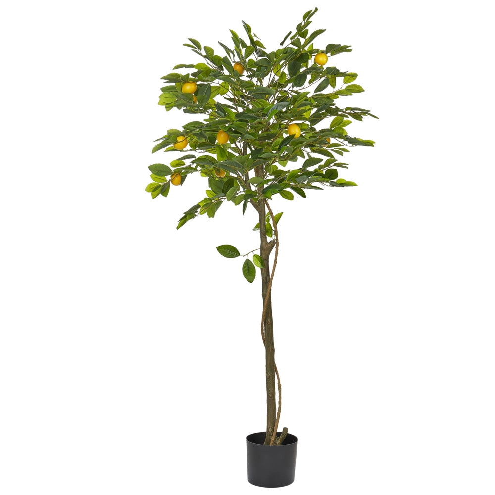 Pianta di limone artificiale in plastica in vaso 156 cm decorazione da interno