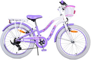 Bicicletta per Bambine 20" Stabilizzatori e Freni Vbrake con Cestino e Portabambola Viola