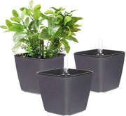 Piantine auto-irriganti in plastica con indicatore di livello d'acqua 13 cm grigio - Set da 3

Caratteristiche tecniche: 

- Materiale: plastica
- Dimensioni: 13 cm
- Set: 3 pezzi
