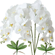 Fiori di Phalaenopsis Artificiali - Decorazione Elegante per Casa - 4 Pezzi - Bianco