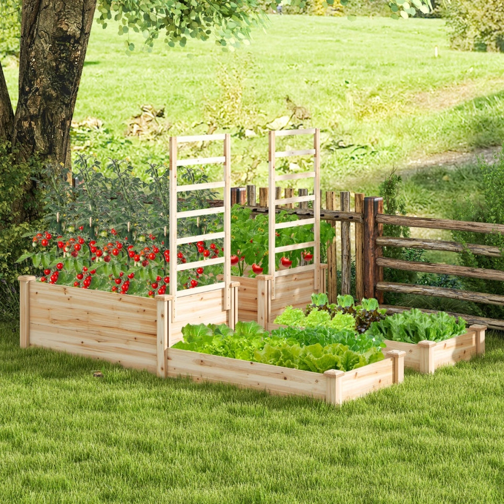 Fioriera rialzata con graticcio fondo aperto, Cassetta di legno a due livelli per verdure fiori erbe frutta Naturale