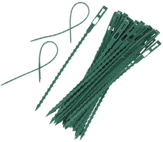 50 Set di Cinture per Piante in Plastica Versatili 17 cm Verde