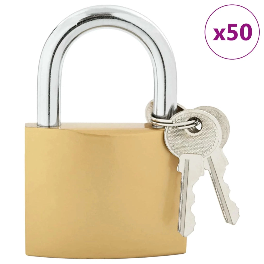 U Lock con Chiavi 50 pz Ottone Ferro CFW8924633