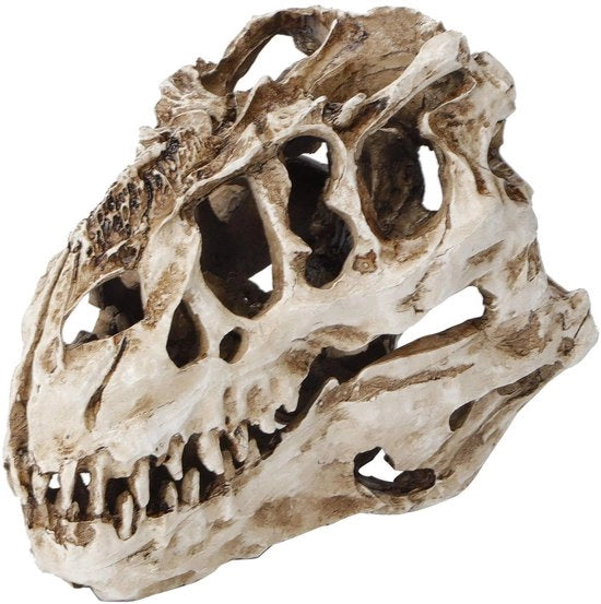 Scheda ornamentale di dinosauro con crani divertente