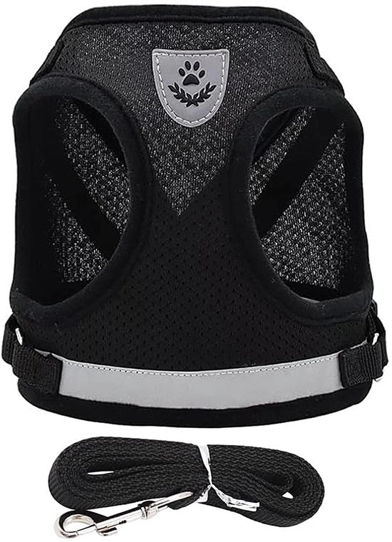 Collare per Cani Adattabile Riflettente Respirante Collare per Piccoli Cani Cinturino con Riemset Progettato senza Tirare