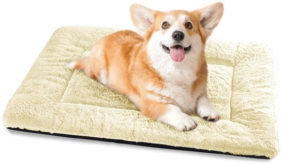 Letto per cani di medie e piccole dimensioni, cuscino per cani lavabile per cani di medie e piccole dimensioni, letto per cani - 75x50 cm letto per gatti super morbido con fondo antiscivolo - beige