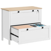 Mobile Archiviatore con 2 Cassetti e Ante ¨C Zephmum ¨C 79x40x72 cm Bianco e Rovere