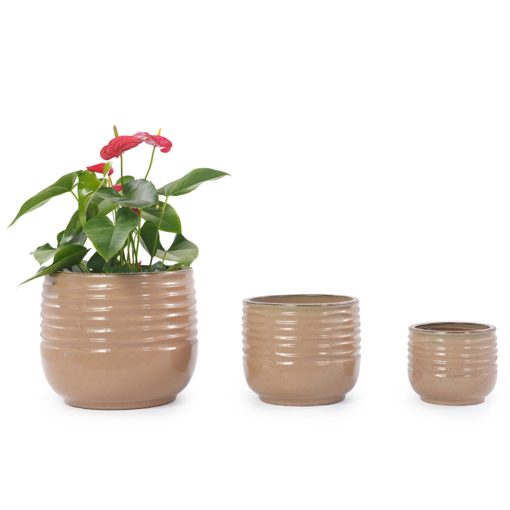 Vaso in ceramica artigianale Ø 26 cm, marrone chiaro lucido, resistente al gelo, per interni ed esterni