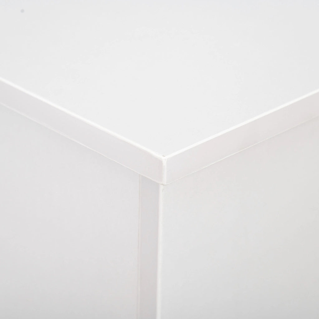 Cassapanca Baule Rettangolare 100x40x40 cm in Legno truciolare Bianco