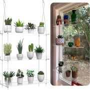 Sostegno per piante in acrilato trasparente - supporto per piante per muro e finestra per cucina - organizzazione di piante ornamentali e potature - display di vasi