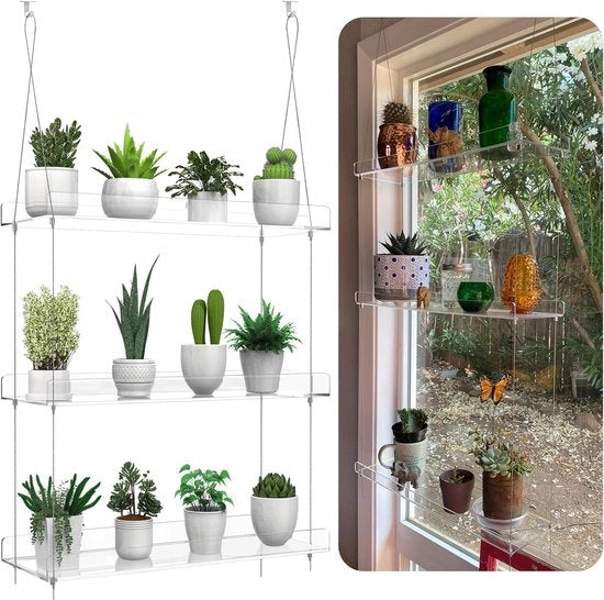 Sostegno per piante in acrilato trasparente - supporto per piante per muro e finestra per cucina - organizzazione di piante ornamentali e potature - display di vasi