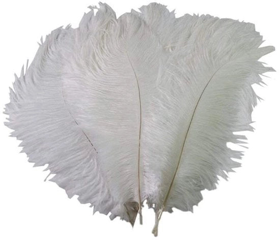 Decorazione con Piume Naturali Struisveer 50 pezzi 15-20cm - Decorazione di Festa - Decorazione di Natura - Decorazione Professionale - Sterilizzate - Piume per Decorazione