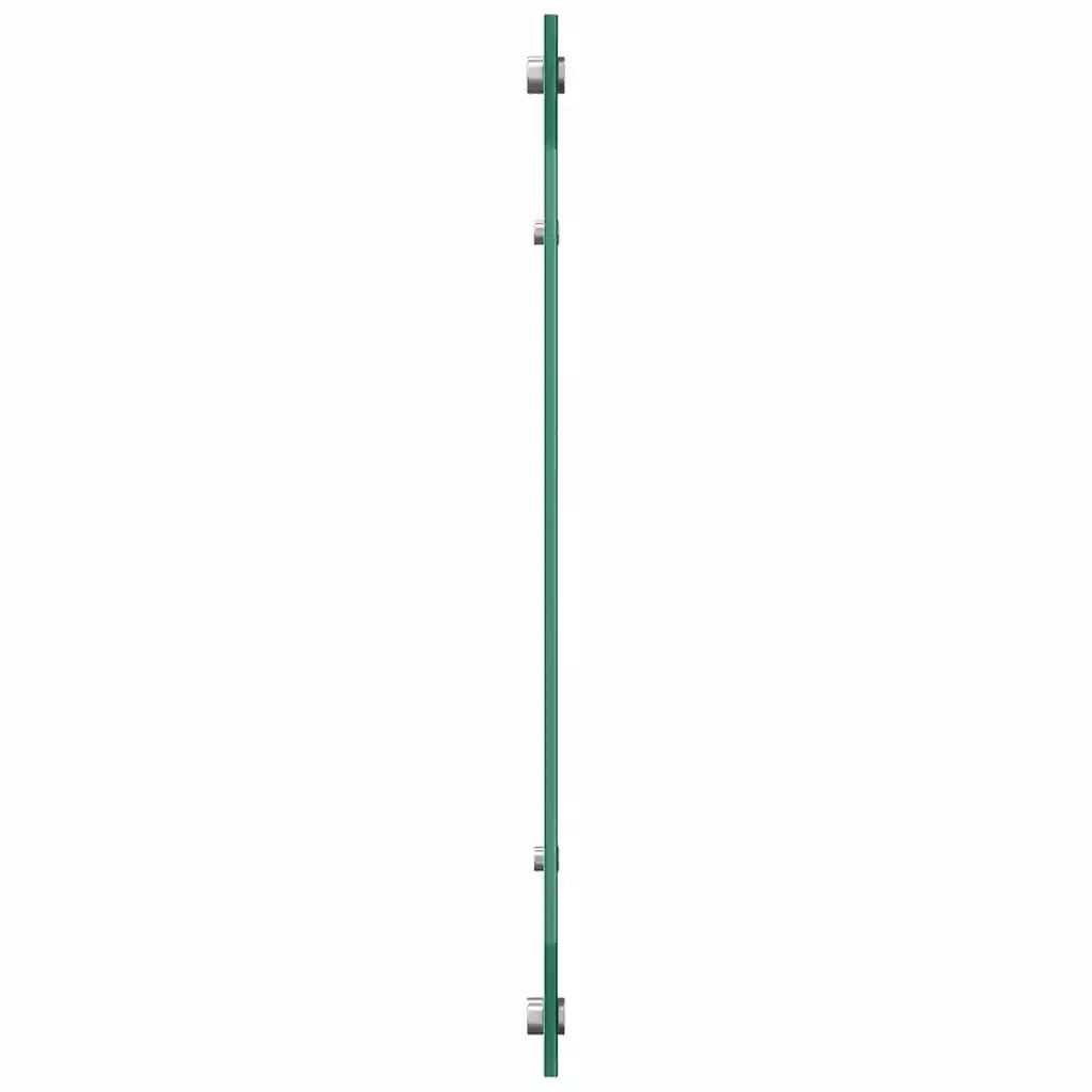 Schienale da cucina 2 pz Trasparente 100 x 60 cm CFW1417439