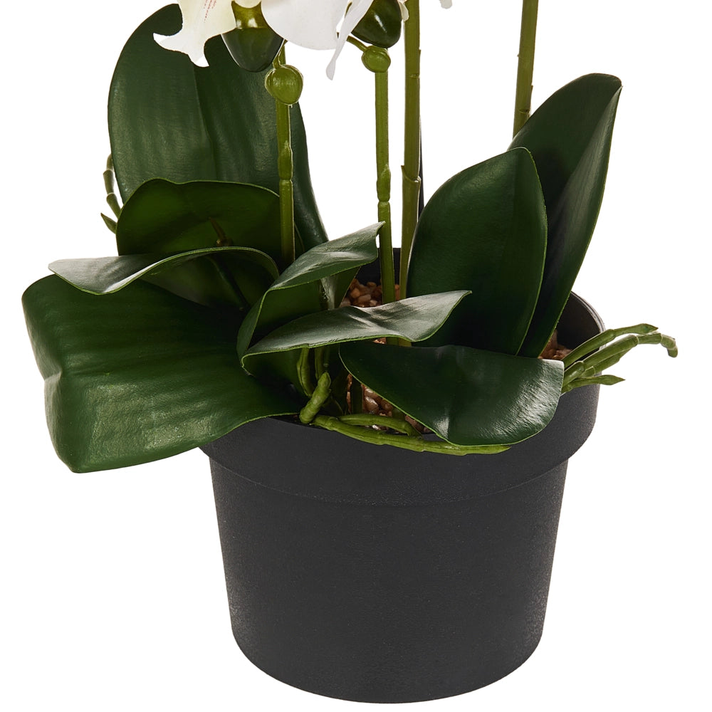 Pianta artificiale in vaso Materiale sintetico bianco e verde 63 cm Pianta orchidea Accessorio decorativo per interni